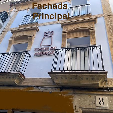 Апартаменты Torre De Ambroz Пласенсия Экстерьер фото